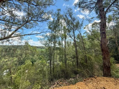 Property Lot 1 Prudence Street, Wollombi NSW 2325 IMAGE 0