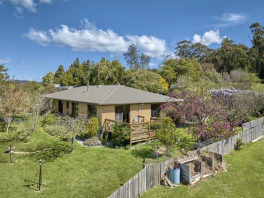 Property 25598 Tasman Highway, ST HELENS TAS 7216 IMAGE 0