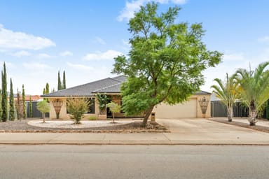 Property 38 Wilson Road, Pinjarra WA 6208 IMAGE 0
