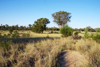 Property 516 Jacks Creek Road, NARRABRI NSW 2390 IMAGE 0