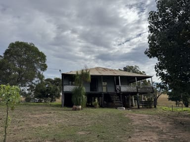 Property 41 Netz Access Road, Ceratodus QLD 4627 IMAGE 0