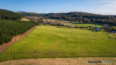 Property Lot 42 East Nannup Road, EAST NANNUP WA 6275 IMAGE 0