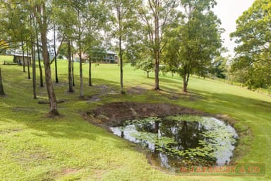 Property 53 Newee Creek Rd, Newee Creek NSW 2447 IMAGE 0