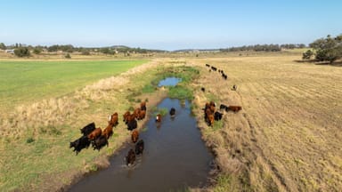 Property The Butcher's Block 22 Wyangapinni Road, Stoneleigh QLD 4356 IMAGE 0