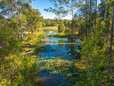 Property 81 Tatnell Rd, North Deep Creek QLD 4570 IMAGE 0