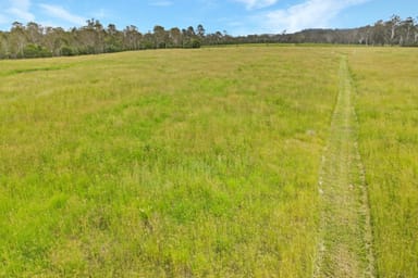 Property Lot 126 Blowers Road, Munna Creek QLD 4570 IMAGE 0