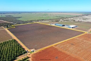 Property Lot 2 Anzac Road, Robinvale VIC 3549 IMAGE 0