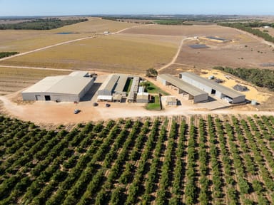 Property Arbusto and Boston Park avocado farms, Sappers Road, Gingin WA 6503 IMAGE 0