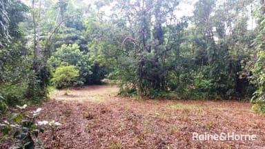 Property 68 Forest Creek Road, Daintree QLD 4873 IMAGE 0