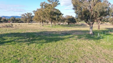 Property Lot 5 Warral-Bithramere Road, TAMWORTH NSW 2340 IMAGE 0