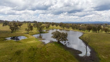 Property 1548 Gwydir River Road, Camerons Creek NSW 2359 IMAGE 0