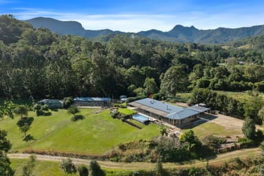 Property 291 Upper Crystal Creek Road, Crystal Creek NSW 2484 IMAGE 0