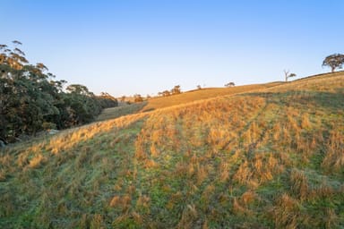 Property 1, 600 Tooborac Baynton Road, Glenhope East VIC 3522 IMAGE 0