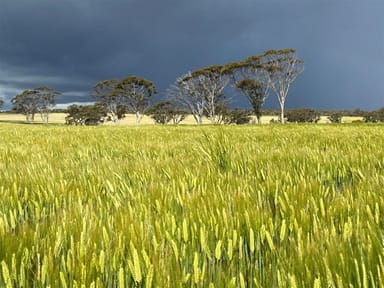 Property . 'Gardens', Shackleton WA 6386 IMAGE 0