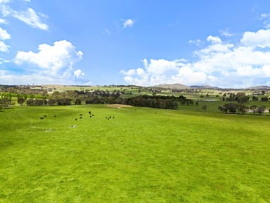 Property 425 Gooda Creek Road, Murrumbateman NSW 2582 IMAGE 0