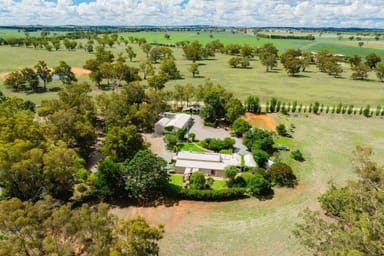 Property 930 COOLAMON ROAD, DOWNSIDE NSW 2650 IMAGE 0