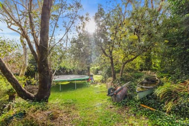 Property 43 Shortland Street, Wentworth Falls NSW 2782 IMAGE 0