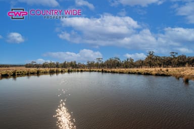 Property 1929 New England Highway, DUNDEE NSW 2370 IMAGE 0