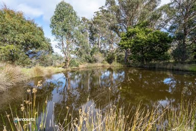 Property 2, 310 Judds Creek Road, JUDBURY TAS 7109 IMAGE 0