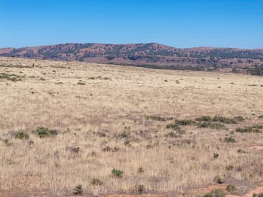 Property Razorback & Kercolo Mount Bryan East Road, Mount Bryan East SA 5419 IMAGE 0