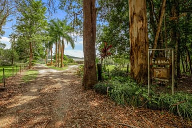 Property 49 Croziers Road, Pinbarren QLD 4568 IMAGE 0