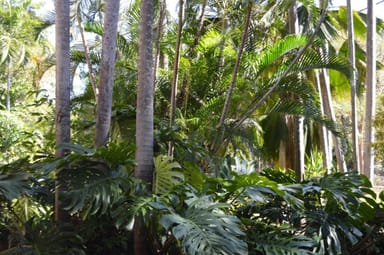Property 16 Mardango Street, Batchelor NT 0845 IMAGE 0