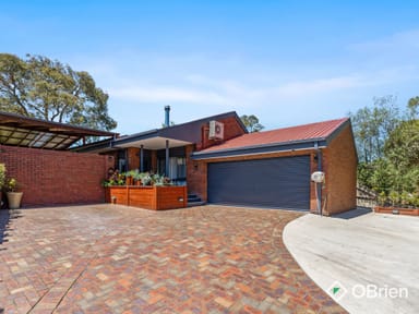 Property 19 Australis Close, Langwarrin VIC 3910 IMAGE 0