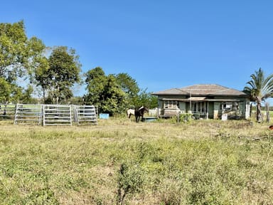 Property 294 Mountainview Road, Airville QLD 4807 IMAGE 0