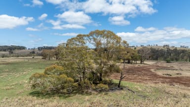 Property 633 Black Mountain Road, Black Mountain NSW 2365 IMAGE 0