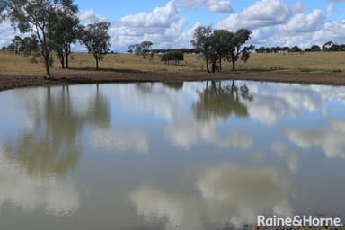 Property ORALLO ROAD Roma, Roma QLD 4455 IMAGE 0