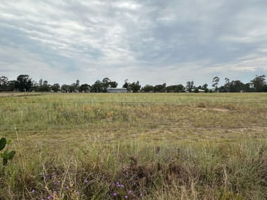 Property Lot 12 Rodney Road, Millmerran QLD 4357 IMAGE 0