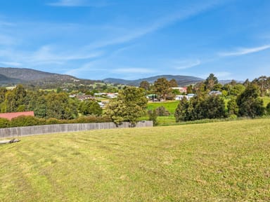 Property 17 Dorgan Court, CYGNET TAS 7112 IMAGE 0