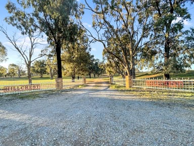 Property 292 Nolens Road, Colinroobie NSW 2680 IMAGE 0