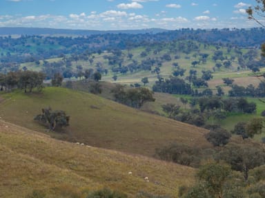 Property Gowan Green Road, Bakers Swamp NSW 2820 IMAGE 0