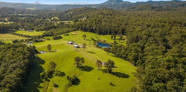 Property 161 Seib Road, Eumundi QLD 4562 IMAGE 0
