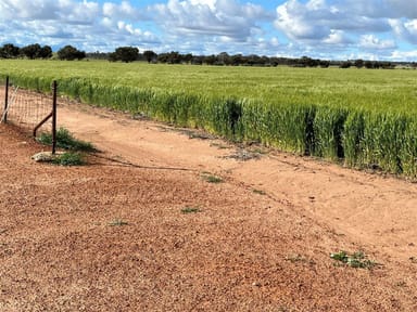 Property . 'Gardens', Shackleton WA 6386 IMAGE 0