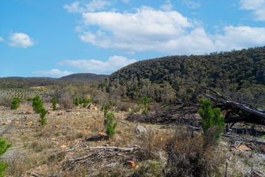 Property Quidong NSW 2632 IMAGE 0