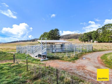 Property 171 Willandra Lane, Tarago NSW 2580 IMAGE 0