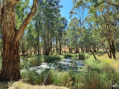 Property 20 Rosedale Road, Gundagai NSW 2722 IMAGE 0