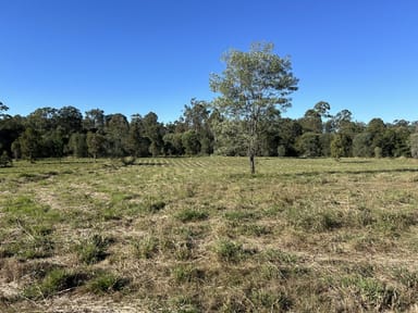 Property 31 Arborthree Road, Glenwood QLD 4570 IMAGE 0
