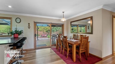 Property 38 Wells Road, Mirboo North VIC 3871 IMAGE 0