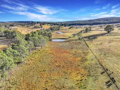 Property Lot 337 Bucky Springs Road, BOMBALA NSW 2632 IMAGE 0