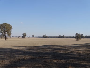 Property 351 Tattersalls Lane, MOORMBOOL WEST VIC 3523 IMAGE 0