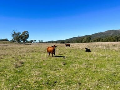 Property Bingara NSW 2404 IMAGE 0