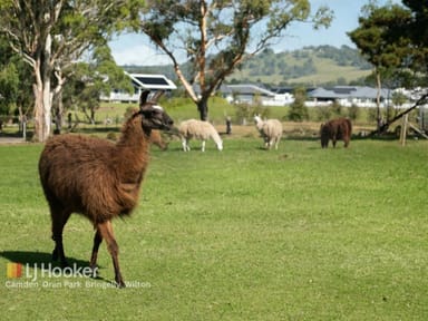 Property 45 Inkerman Road, Balaclava NSW 2000 IMAGE 0