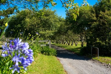 Property 141 Woodhill Mountain Road, Broughton Vale NSW 2535 IMAGE 0