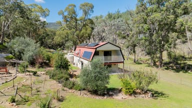 Property Tenterfield NSW 2372 IMAGE 0