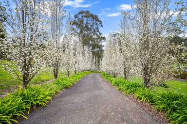 Property 1557 Traralgon Creek Road, Koornalla VIC 3844 IMAGE 0