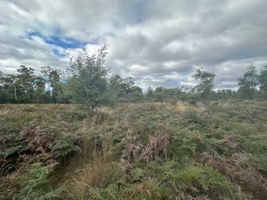 Property Lot 2 Wadleys Road, Reedy Marsh TAS 7304 IMAGE 0