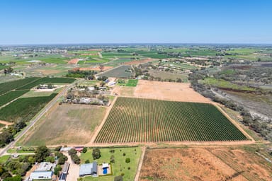 Property Lot 2 Buloke Street, Red Cliffs VIC 3496 IMAGE 0